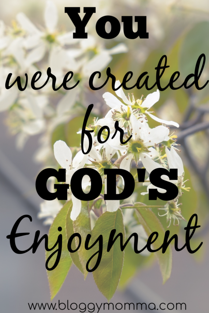 Created for God's enjoyment