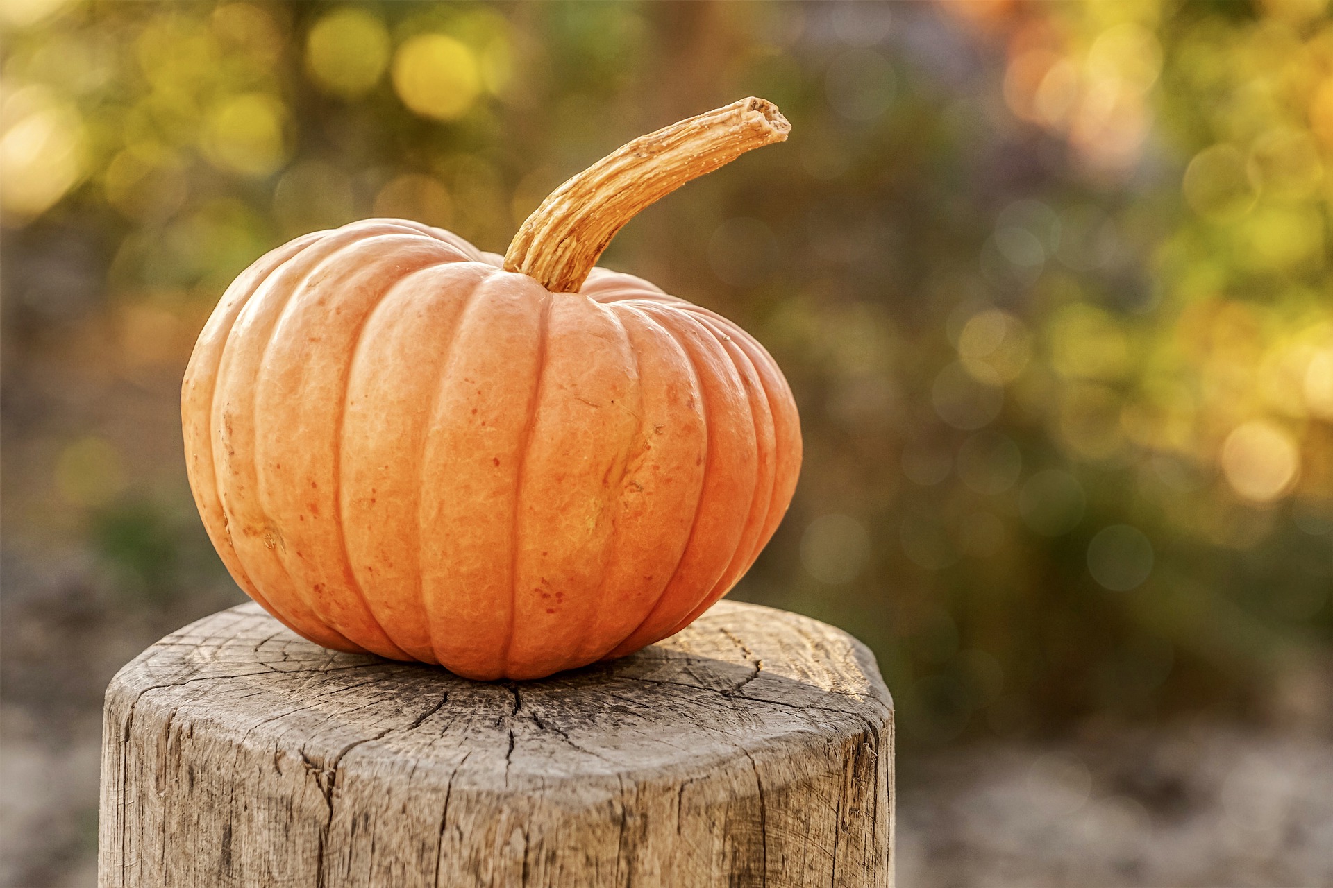 SIMPLE PUMPKIN CRAFTS FOR FALL