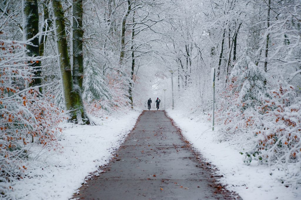 winter nature hunt