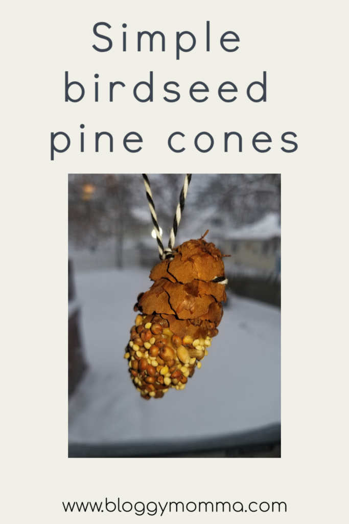 Simple Birdseed Pine Cones