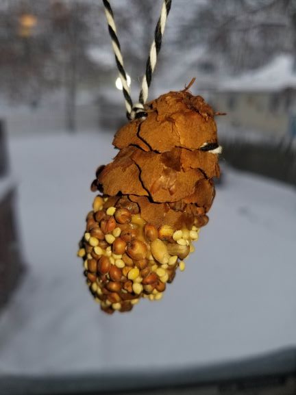 Birdseed Pine Cone