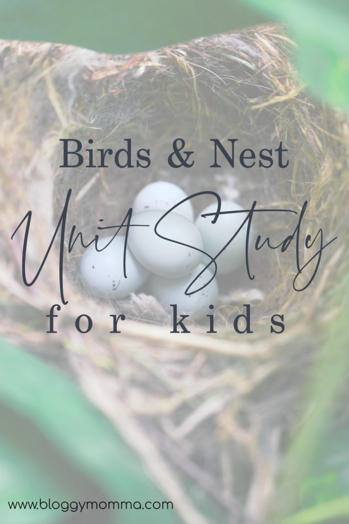 bird & nest unit study