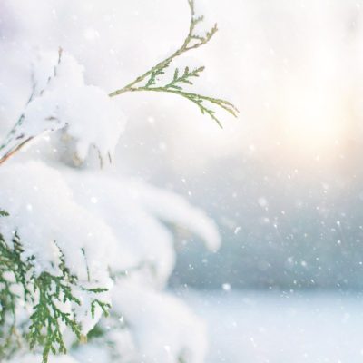 WHITE AS SNOW: THE BEAUTY OF FORGIVENESS