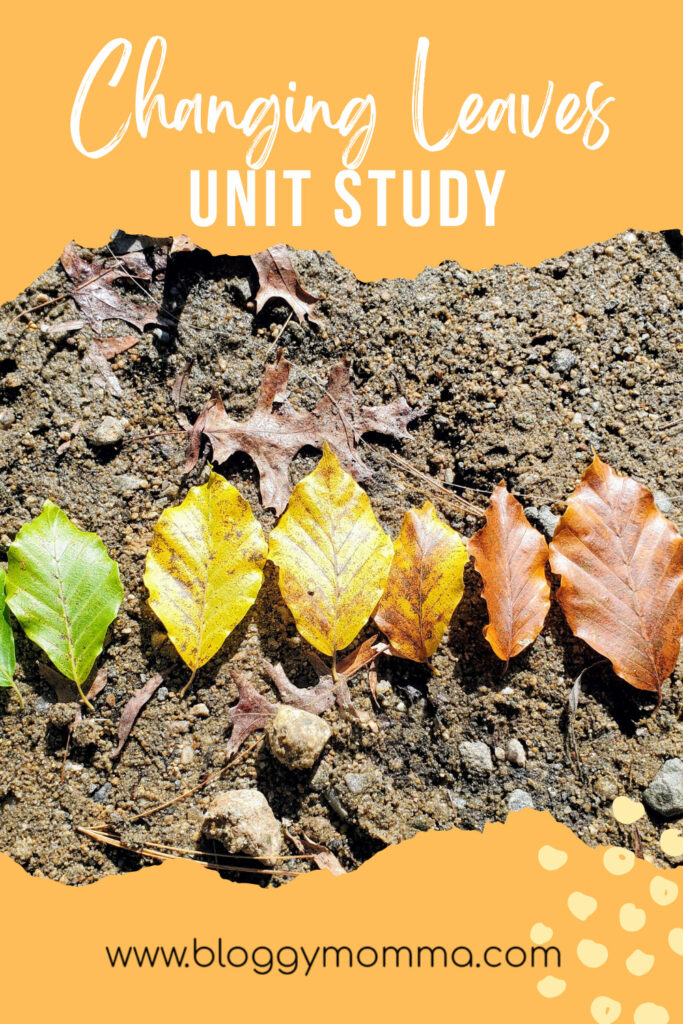 Changing Leaves Unit Study